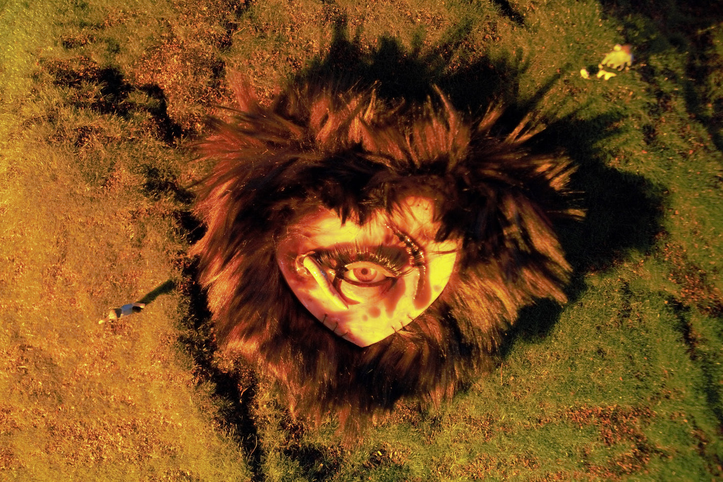 Rotten Chaeri Wallet